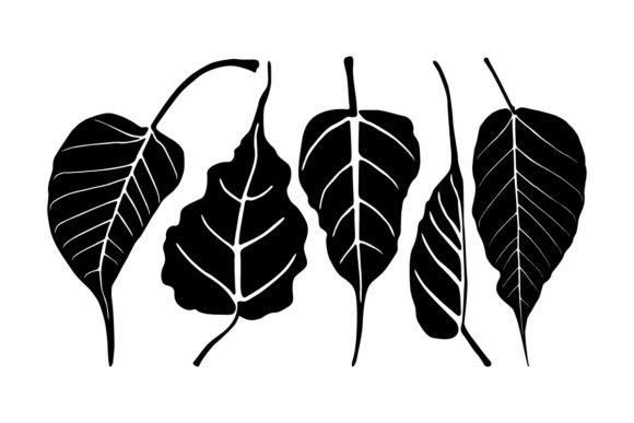 Bodhi Leaves Silhouette Vector