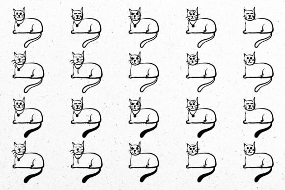 Cats as Companions: A Practical Guide to Choosing and Caring for Your Feline Friend
