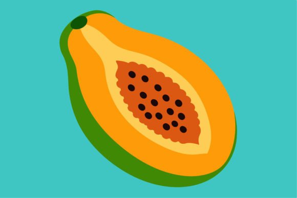 Papaya Cut Open Vector Illustration: A Versatile Choice for Modern Visual Projects